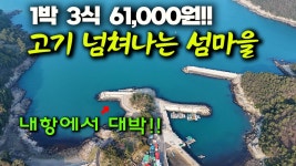 네이버 인플루언서 [네이버 인플루언서] 작정하고 찾아간 섬마을 방파제, 낚시로 큰 쿨러를 가득 채웠지 뭡니까?! (박선비tv)