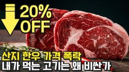 한국 물가 진짜 애미뒤지긴 했네 - 만화 갤러리