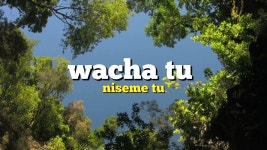 Sawa (feat. Billy Black) - Mutoriah: Song Lyrics, Music Videos & Concerts