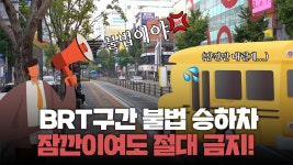 근데 BRT 지정된차만 세우라는 규정이 따로 있음? - 교통 마이너 갤러리