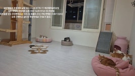 네이버 인플루언서 [네이버 인플루언서] 쉼터 청소 ASMR