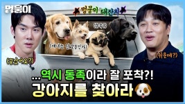 c.gv 멍뭉이 예매권 응모 게임! - 유연석 갤러리