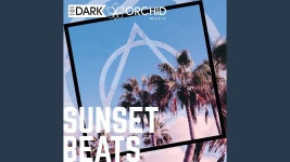 Sunset - 101 Dark Orchid Music | Shazam Sunset - 101 Dark Orchid Music