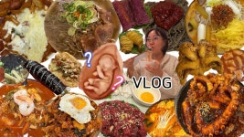 33세 임산부인데 - 역학 갤러리