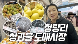 네이버 인플루언서 [네이버 인플루언서] 🍇가격 공개! 청량리 청과물 도매시장에서 장보기