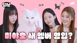 미야오 새 멤버 공개합니다... | [멍&냥] 수인, 안나, 나린 - 미야오(MEOVV) 마이너 갤러리