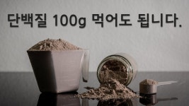 네이버 인플루언서 [네이버 인플루언서] 동면중의 헬스