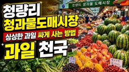네이버 인플루언서 [네이버 인플루언서] 청량리 청과물도매시장 완전 정복! 제철 과일 지금이 제일 싸요!