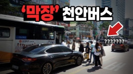 천안 버스 심각한지 난 잘 모르겠노... - 만화 갤러리
