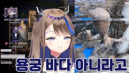 고등어와 오징어와 쭈꾸미 - 스트리머 갤러리