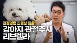 네이버 인플루언서 [네이버 인플루언서] 강아지 관절 주사 전문 동물병원에서 알려주는 리브렐라 정보💉