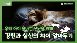 네이버 인플루언서 [네이버 인플루언서] 우리 아이 경련과 실신의 차이 알고 계신가요?｜본동물의료센터 [알려주개]