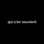 SJT_Luffy - YouTube SJT_Luffy