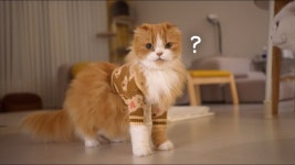 네이버 인플루언서 [네이버 인플루언서] 크리스마스라고 멋 좀 부렸어요