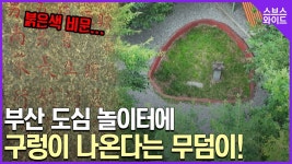 놀이터안에 무덤이 있다? 여기서 운동하시는분들 대단하시네 - 국내야구 갤러리