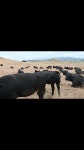 3Fs - YouTube