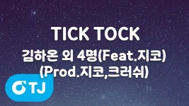 틱톡 노래방 나옴 - 쇼미더머니 12 마이너 갤러리