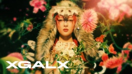 . - 케이팝(K-POP) 마이너 갤러리