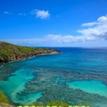 김순임 - YouTube 김순임