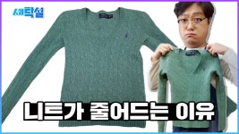 네이버 인플루언서 [네이버 인플루언서] 세탁설의 울세탁