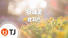 [TJ노래방] 유채꽃 - 양지은 / TJ Karaoke - 양지은 인물 갤러리