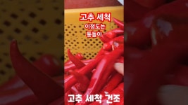네이버 인플루언서 [네이버 인플루언서] 고추 세척 통돌이 세척 깨끗한 고추 비결. 괴산청결고추 풀뿌리농장 #shorts