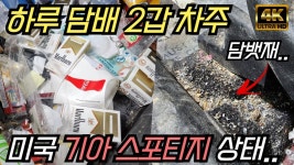 돌쇠 형님 영상이나 봐라 - 세차 마이너 갤러리