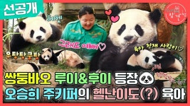 전.참.시 선공개 영상 - 바오패밀리 마이너 갤러리 전.참.시 선공개 영상  - 바오패밀리 마이너 갤러리