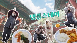 네이버 인플루언서 [네이버 인플루언서] 혠집사의 서울템플스테이