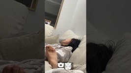 쫑이네집 - YouTube