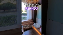 벨라몽 애견호텔 - YouTube