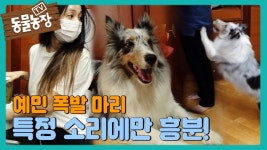 26 옥순 동물 농장 출연 유튜브 - 나는 솔로 갤러리