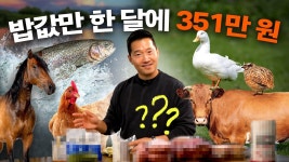 개팔자 상팔자노 - 도서 갤러리