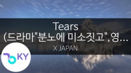 tears 노래방 반주 수준 왜이러냐 ㅅㅂ... - 요시키 마이너 갤러리