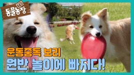와 ㅅㅂ 방금 연예인 봄 - 포켓몬스터 갤러리