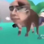 Iceclimber23 ㅤ - YouTube