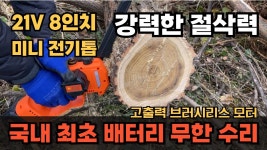 네이버 인플루언서 [네이버 인플루언서] 후회없는 8인치 무선전기톱 10만원대 초경량 미니충전톱 추천 크래프트볼트