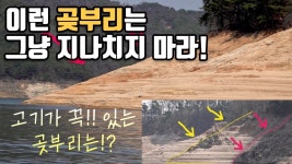 종만이형 오늘 올라온영상 정말 도움되는 영상이다 - 루어낚시 마이너 갤러리