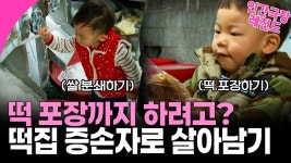 떡집 증손자로 살아남기 인간극장 - 기타 국내 드라마 갤러리 떡집 증손자로 살아남기 인간극장  - 기타 국내 드라마 갤러리