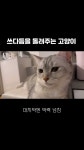아리네 집 - YouTube