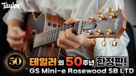 네이버 인플루언서 [네이버 인플루언서] 50주년 한정판 테일러 GS Mini-e Rosewood SB LTD 여행용 컴팩트 통기타 추천합니다!