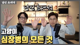 [네이버 인플루언서] 애묘인이라면 걱정하는 고양이 심장병의 모든 것 | 냥신초대석 1편 feat. 그레이스 고양이 심장병원 김태준 원장님