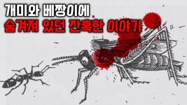 개미와 베짱이 잔혹 버전 - 부동산 갤러리