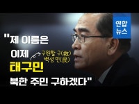 (주)태구기획 | [영상] 태영호, 가명 '태구민'으로 총선 출마하는 이유? | 연합뉴스