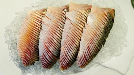 네이버 인플루언서 [네이버 인플루언서] 전어 먹다 극락 갔습니다. 칼질이 예술인 진짜 찐 맛 횟집을 공개합니다.