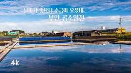네이버 인플루언서 [네이버 인플루언서] 날씨가 좋으니 소금이 오겠네, 부안 곰소염전 / When the weather is nice, salt will... 
