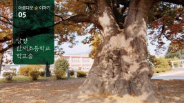 아름다운 숲 이야기 #5 담양 한재초등학교 학교숲 - YouTube 아름다운 숲 이야기 #5 담양 한재초등학교 학교숲