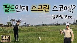 피지컬 딸리는 골미갤럼들은 유튭 가보실게요 tv 한번 봐보셈 - 골프 미니 갤러리