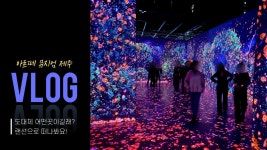 네이버 인플루언서 [네이버 인플루언서] 징크여행의 제주아르떼뮤지엄