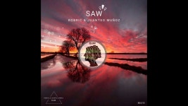 빈스어노인팅 | Saw - Juantxo Munoz & Robric | Shazam Saw - Juantxo Munoz & Robric